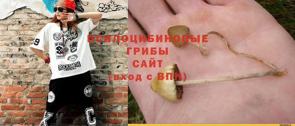 ПСИЛОЦИБИНОВЫЕ ГРИБЫ Богородицк