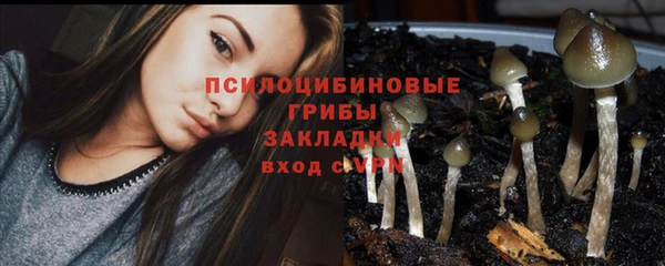 ПСИЛОЦИБИНОВЫЕ ГРИБЫ Богородицк