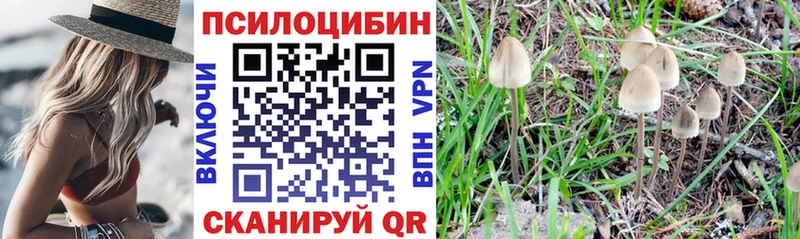 Псилоцибиновые грибы мухоморы  что такое наркотик  Иноземцево 